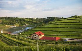 Sarea-n Bucate (Crama la Salina)